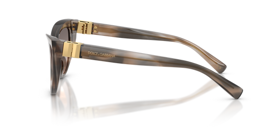 Dolce & Gabbana DG4497 34493B