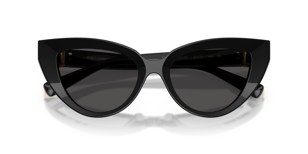 Dolce & Gabbana DG4497 501/87