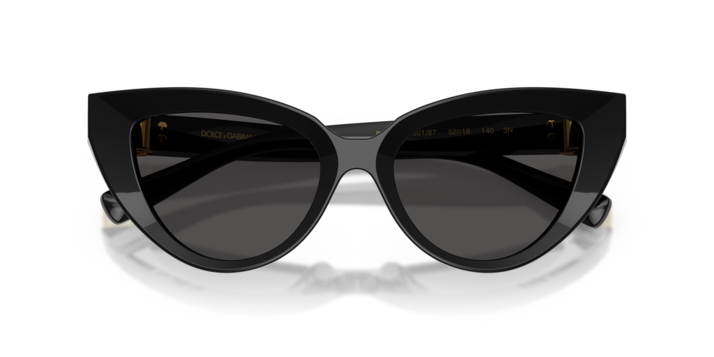 Dolce & Gabbana DG4497 501/87