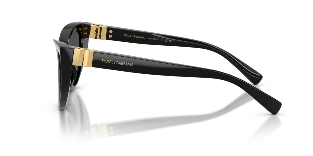 Dolce & Gabbana DG4497 501/87