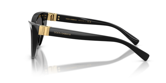 Dolce & Gabbana DG4497 501/87