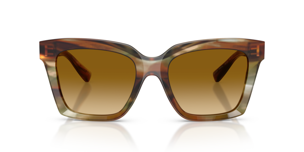 Dolce & Gabbana DG4498 34462L