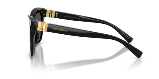 Dolce & Gabbana DG4498 501/87