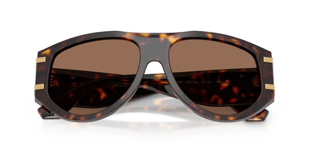 Dolce & Gabbana DG4499 502/73