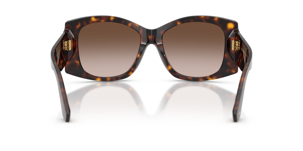Dolce & Gabbana DG4501 502/13