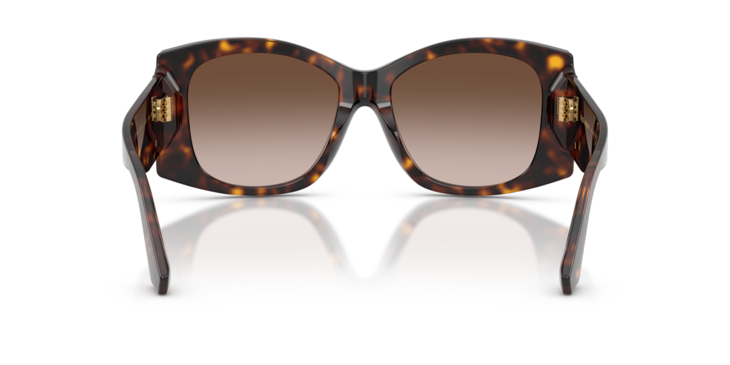 Dolce & Gabbana DG4501 502/13