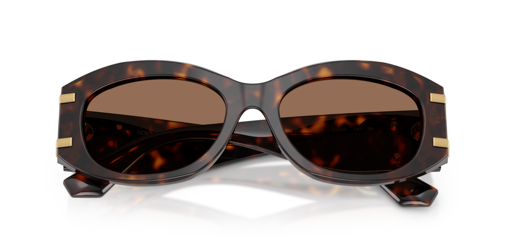 Dolce & Gabbana DG4502 502/73