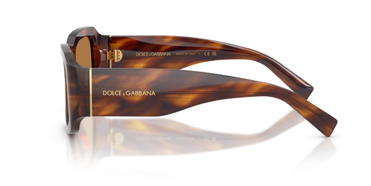 Dolce & Gabbana DG4503 306373