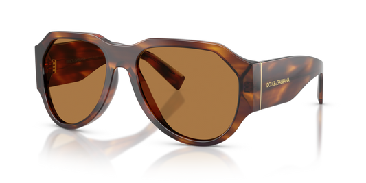 Dolce & Gabbana DG4504