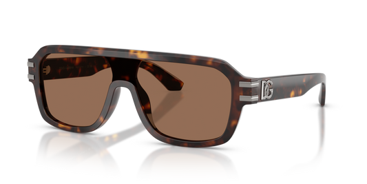 Dolce & Gabbana DG4507