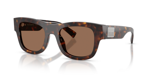 Dolce & Gabbana DG4509