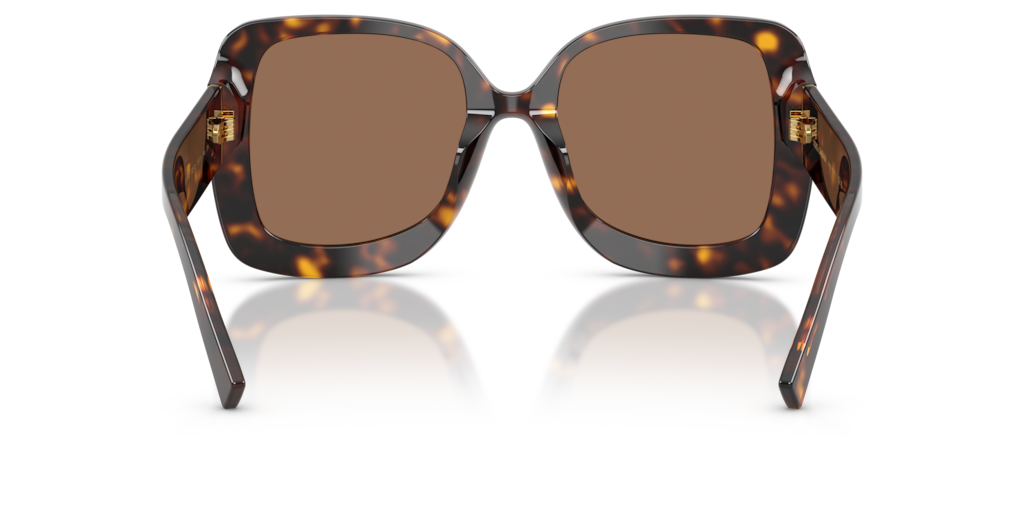 Dolce & Gabbana DG4513 502/73