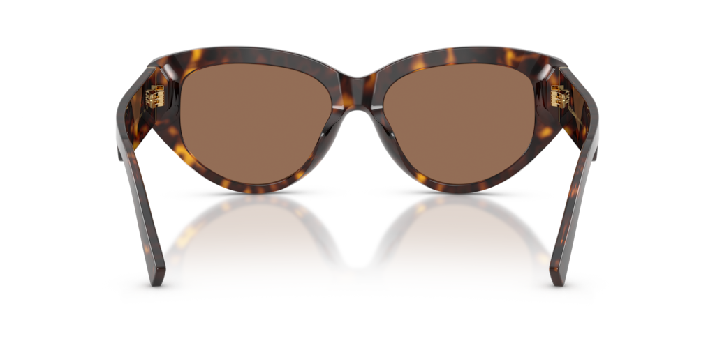 Dolce & Gabbana DG4514 502/73