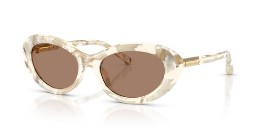 Dolce & Gabbana DG4519