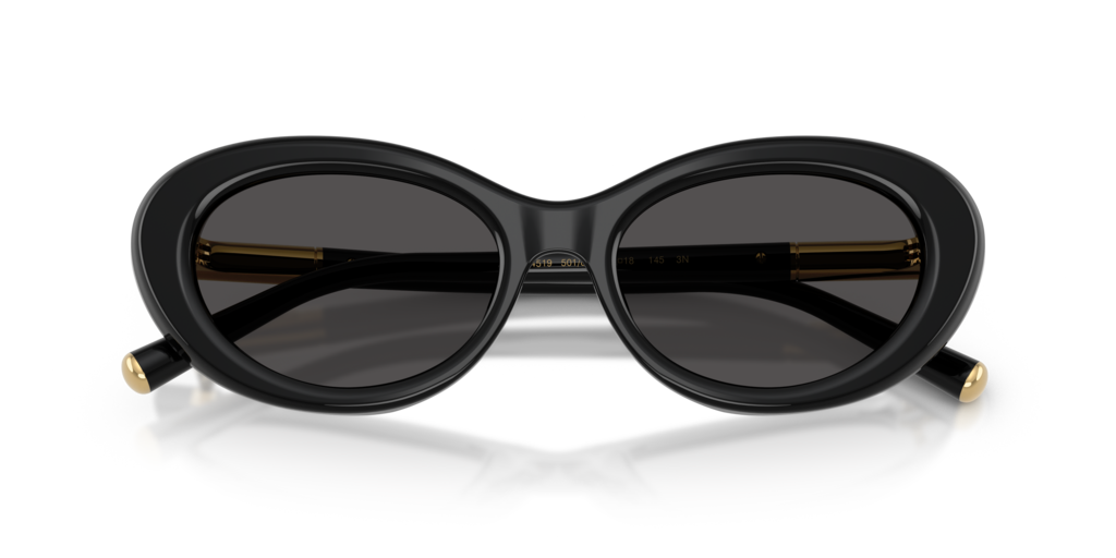 Dolce & Gabbana DG4519 501/87