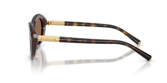 Dolce & Gabbana DG4519 502/73