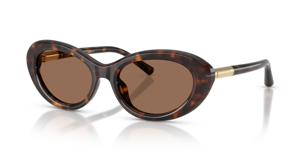 Dolce & Gabbana DG4519