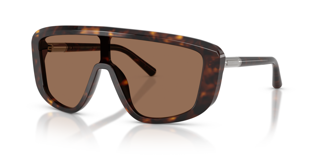 Dolce & Gabbana DG4520