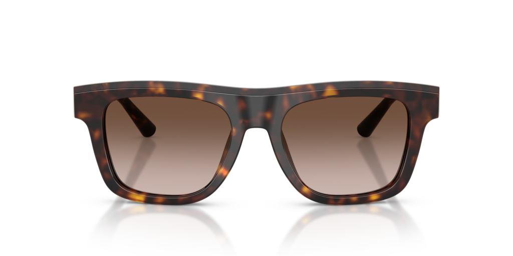 Dolce & Gabbana DG4521 502/13