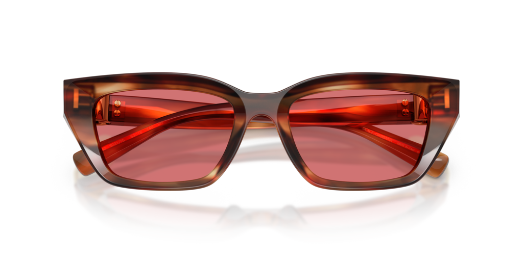 Dolce & Gabbana DG4532 322175