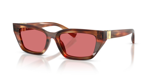 Dolce & Gabbana DG4532
