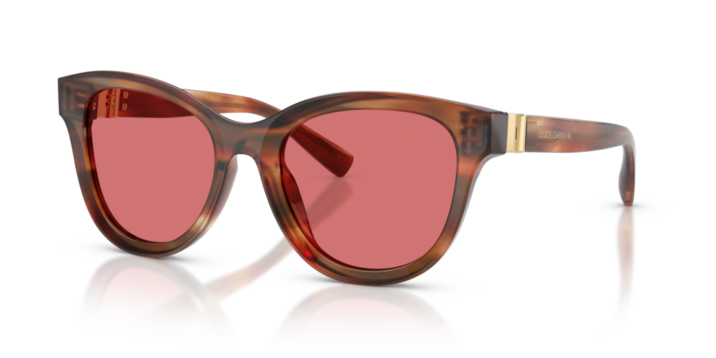 Dolce & Gabbana DG4533