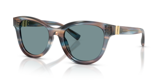 Dolce & Gabbana DG4533