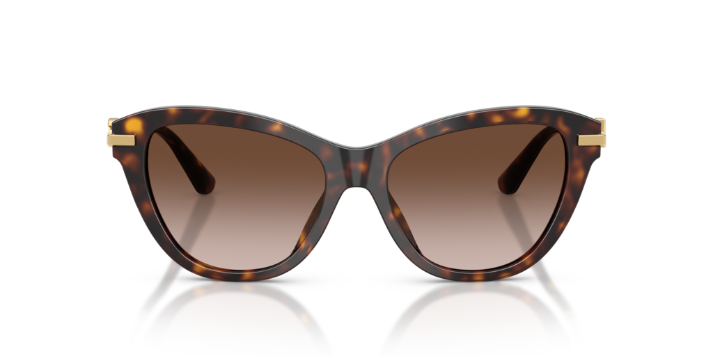 Dolce & Gabbana DG4534 502/13