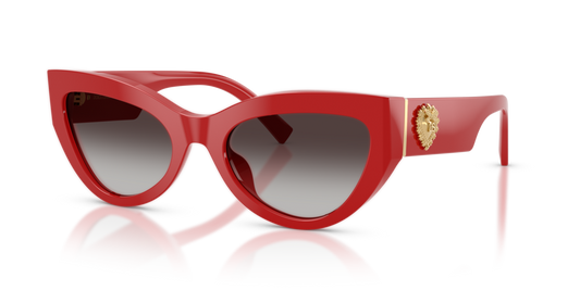 Dolce & Gabbana DG4536