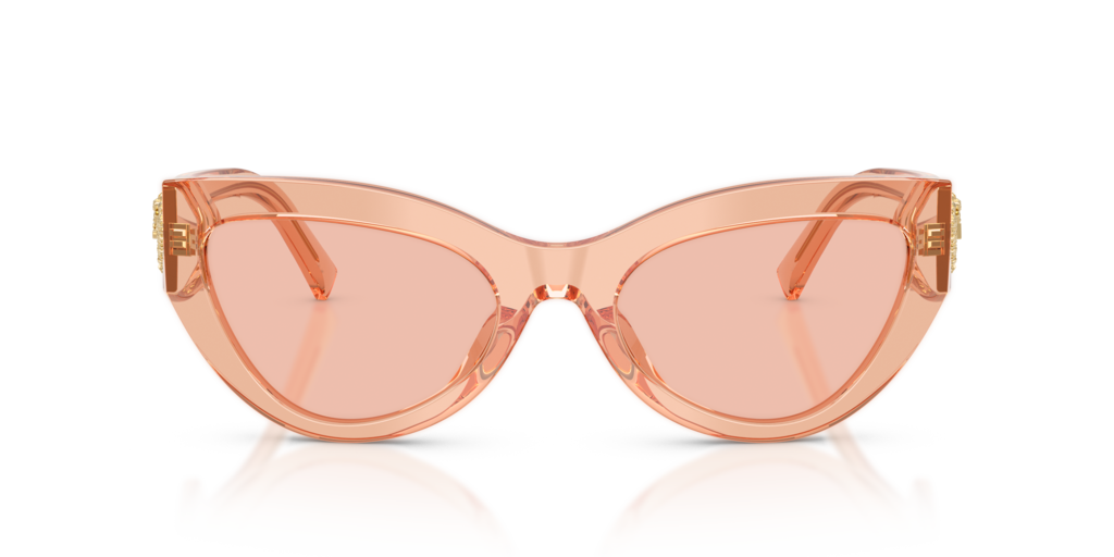 Dolce & Gabbana DG4536 322684