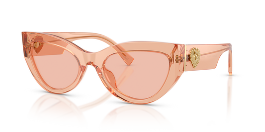 Dolce & Gabbana DG4536