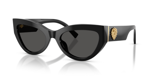 Dolce & Gabbana DG4536