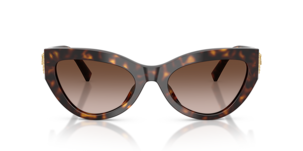 Dolce & Gabbana DG4536 502/13