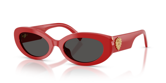 Dolce & Gabbana DG4537