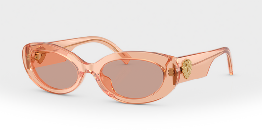 Dolce & Gabbana DG4537