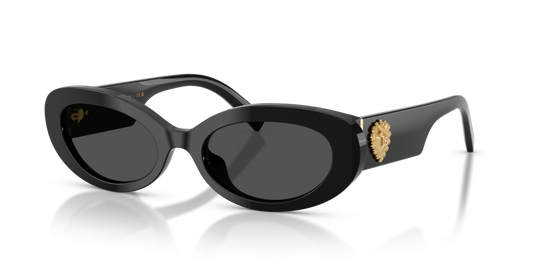 Dolce & Gabbana DG4537