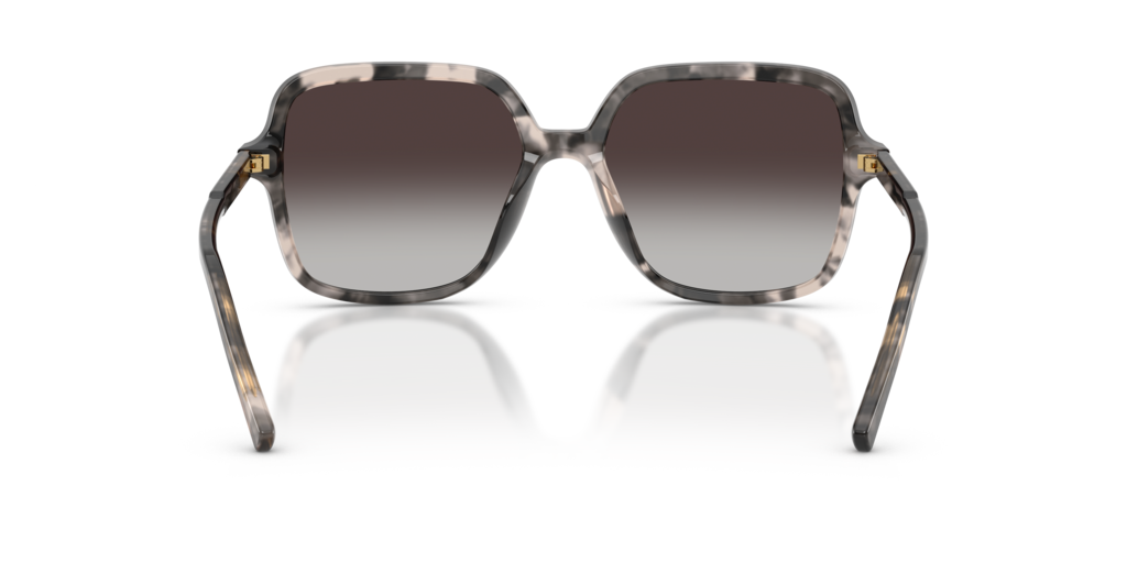 Dolce & Gabbana DG4539 31728G