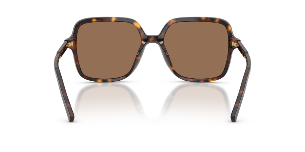 Dolce & Gabbana DG4539 502/73