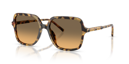 Dolce & Gabbana DG4539