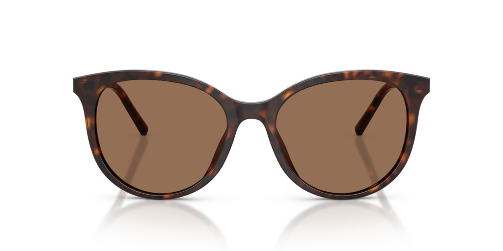 Dolce & Gabbana DG4540 502/13