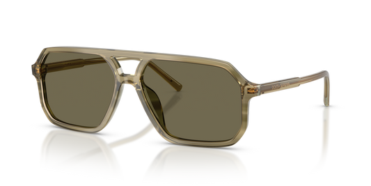 Dolce & Gabbana DG4541