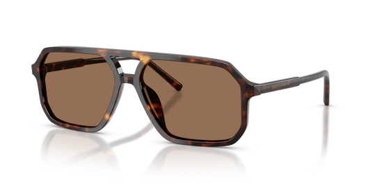 Dolce & Gabbana DG4541