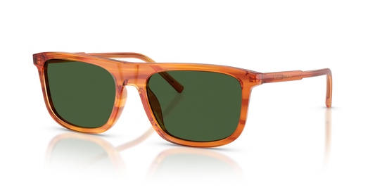 Dolce & Gabbana DG4542