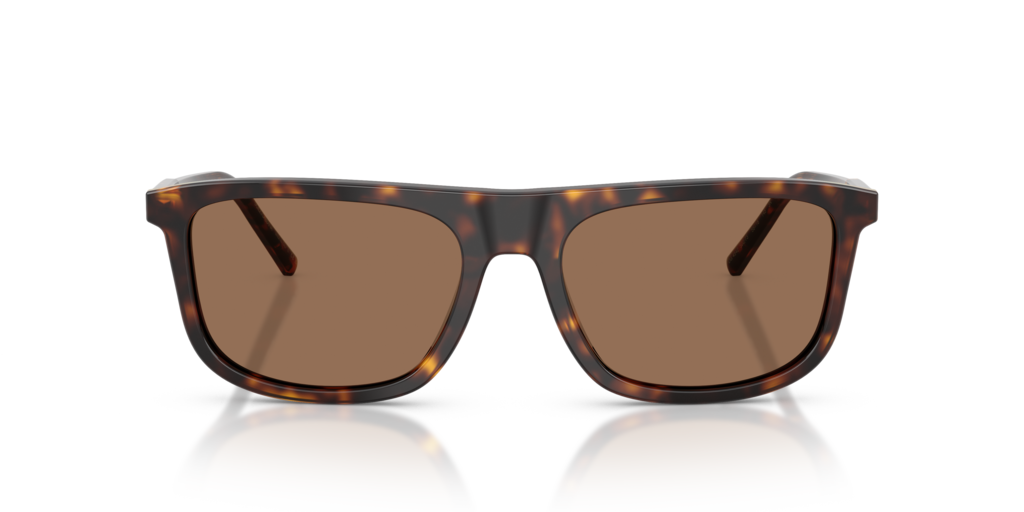 Dolce & Gabbana DG4542 502/73
