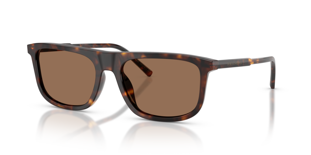 Dolce & Gabbana DG4542
