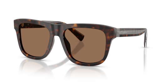 Dolce & Gabbana DG4545