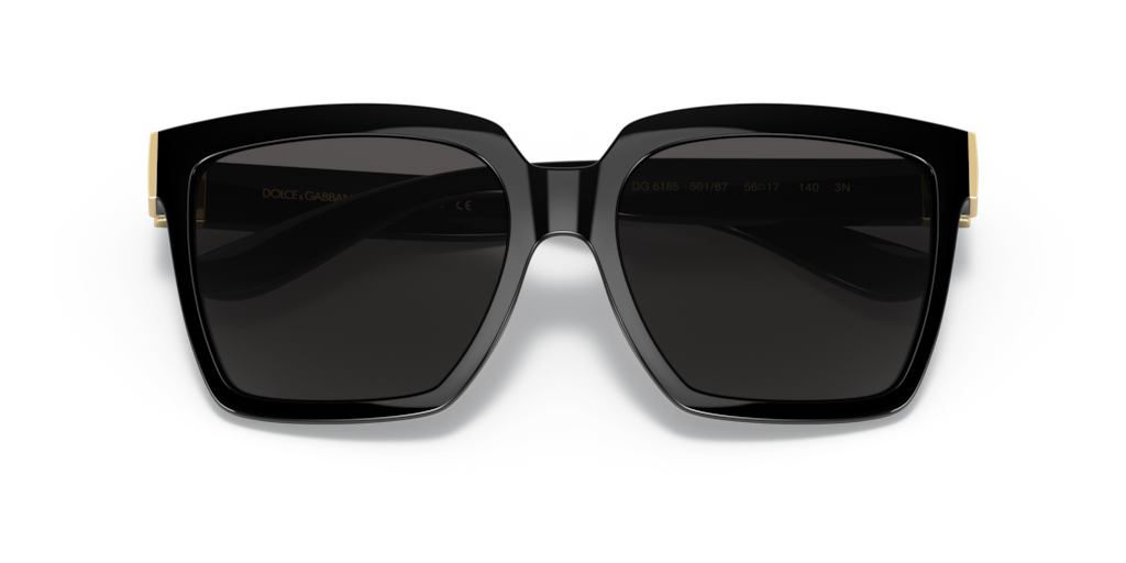 Dolce & Gabbana DG6165 501/87