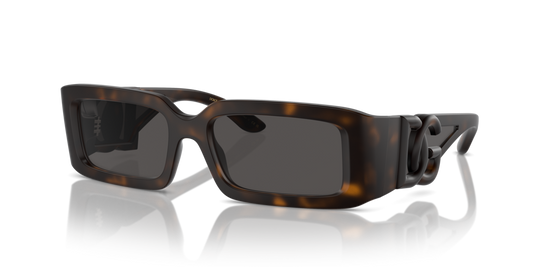 Dolce & Gabbana DG6197 193587 - 53 - Güneş Gözlükleri