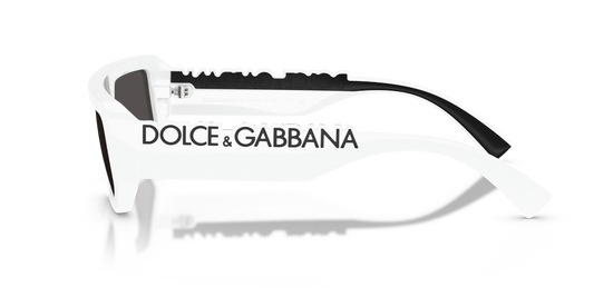 Dolce & Gabbana DG6203 331287