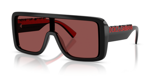 Dolce & Gabbana DG6204